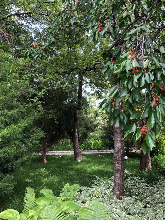 Family Guest House Cholpon-Ata Εξωτερικό φωτογραφία