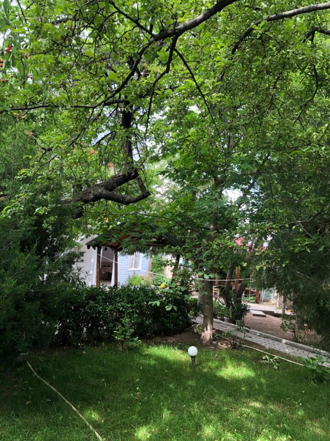 Family Guest House Cholpon-Ata Εξωτερικό φωτογραφία